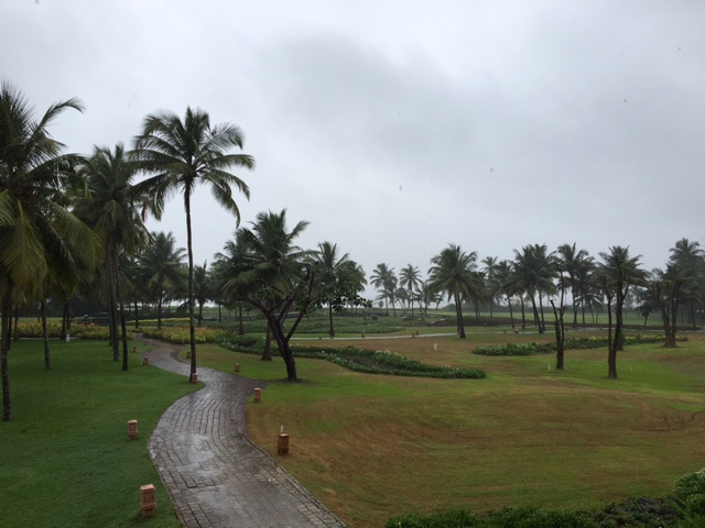 PH_Goa Lawns