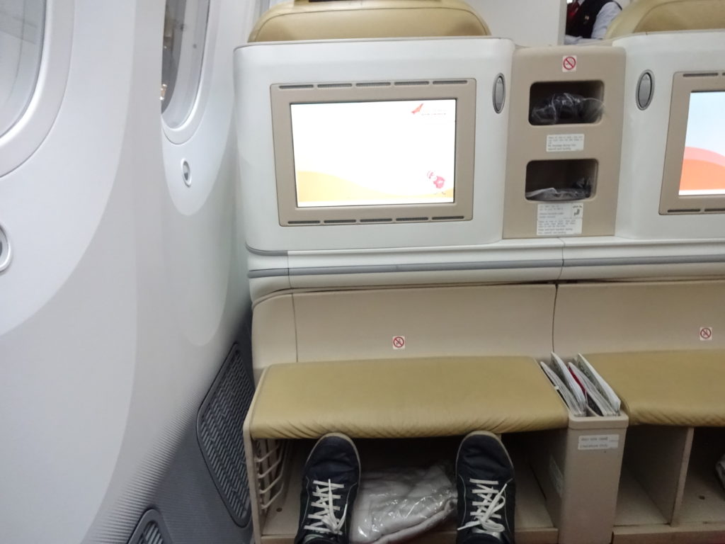 Air India Boeing 787-8 Business Class