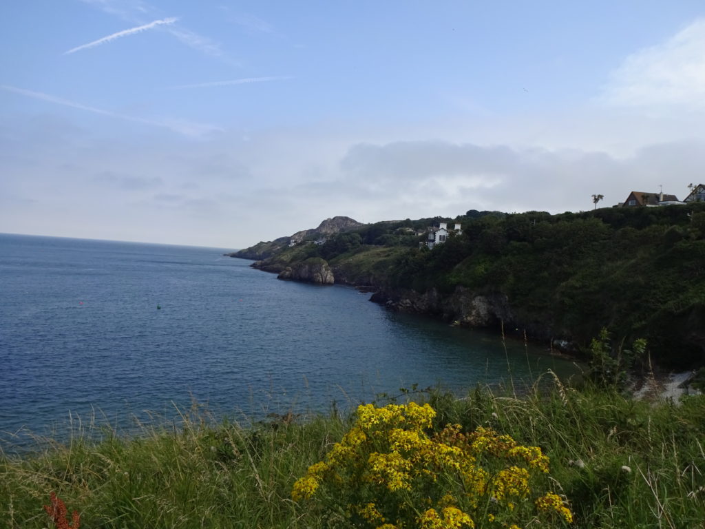 Howth Cliff 