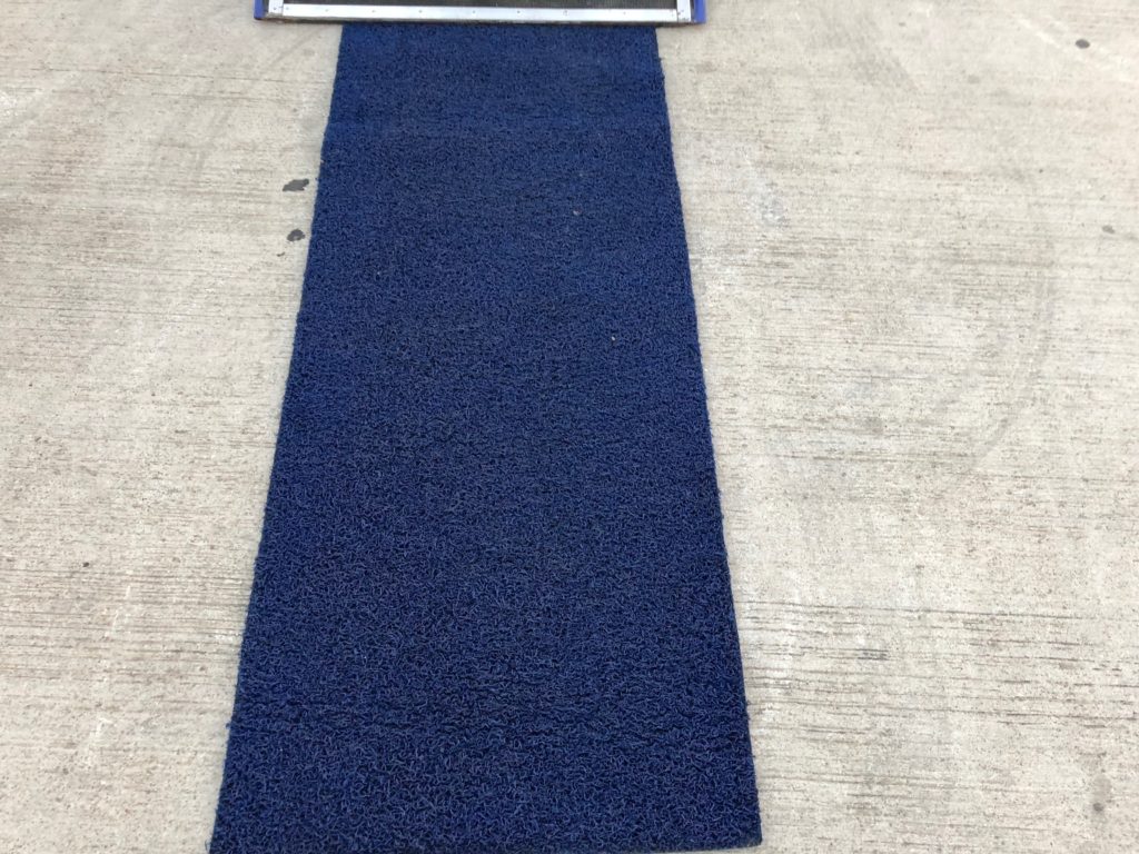 IndiGo ATR Blue Carpet