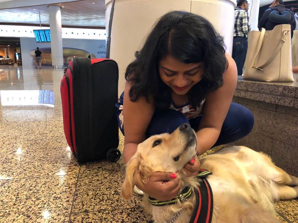 Dogs at Mumbai Airport