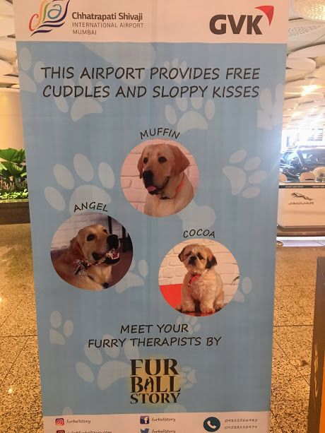 Dogs at Mumbai Airport