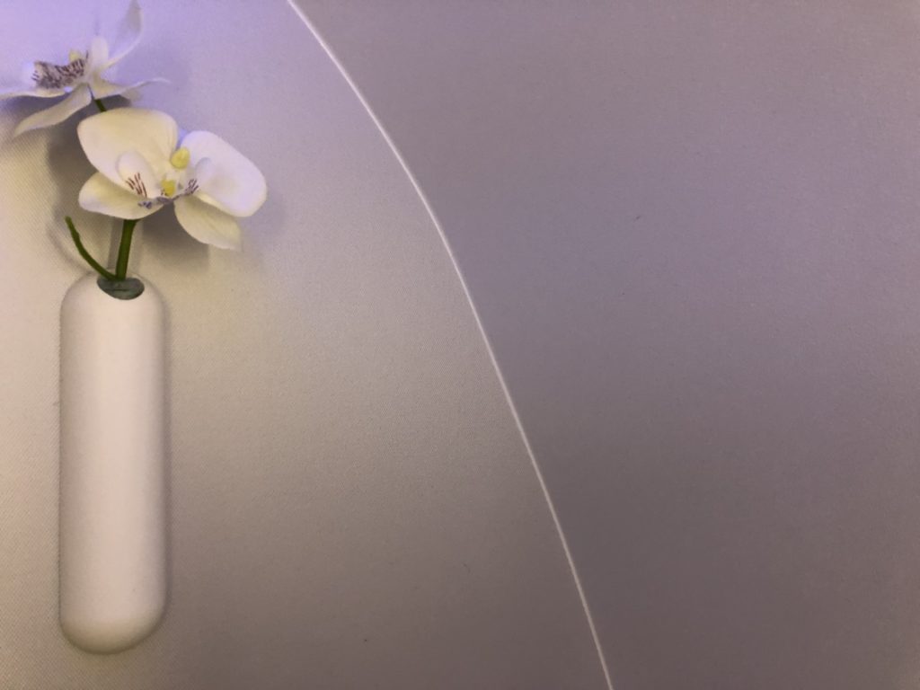 a white flower in a white vase