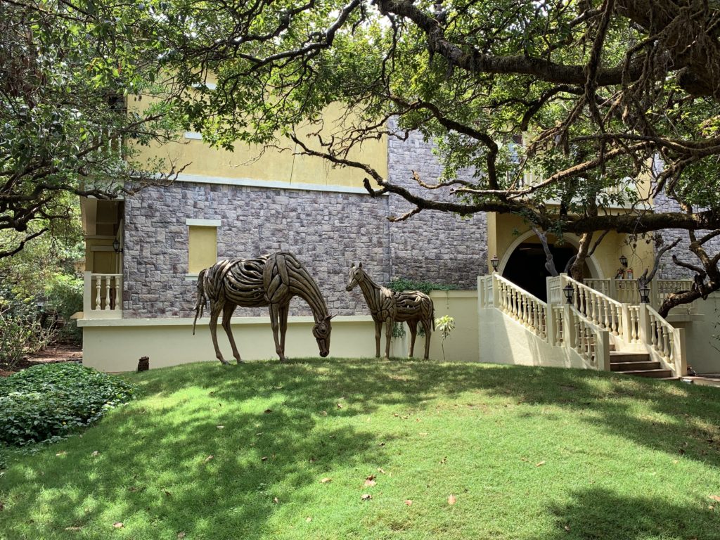 a group of horses in a yard