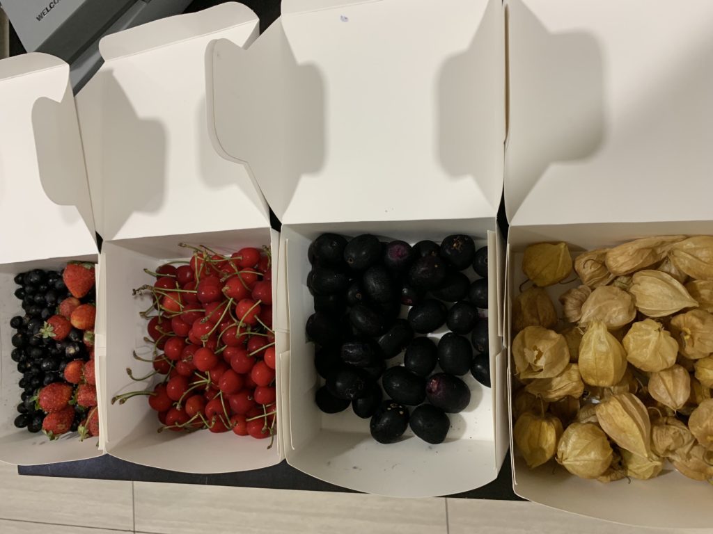 a group of boxes of fruit