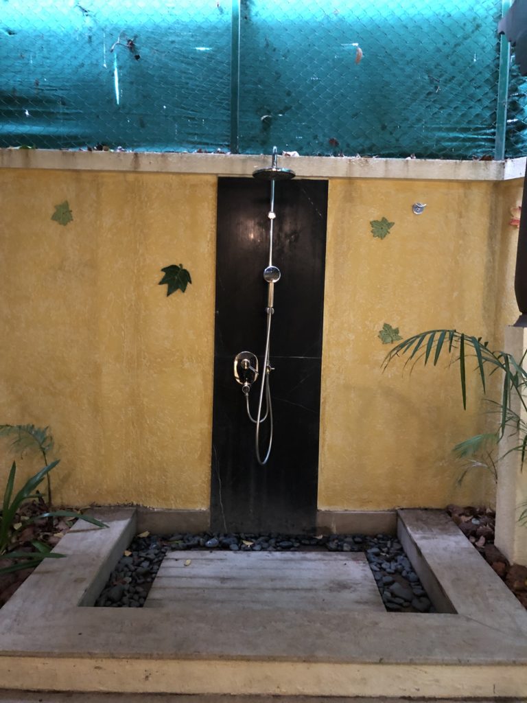 a shower with a black door and a black door