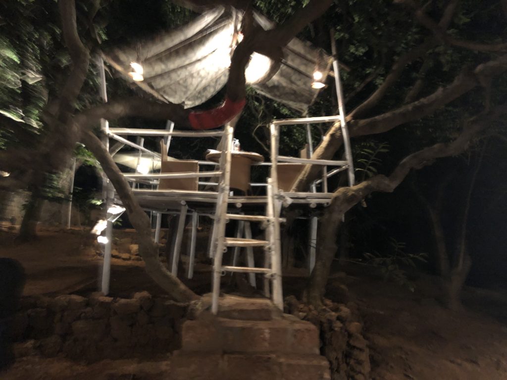 a ladder and ladder in a tree